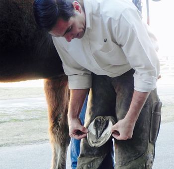veterinary-kane-farrier-1-450.jpg