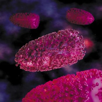 veterinary-rabies-cell-in-fluid-450px-shutterstock-208191232.jpg