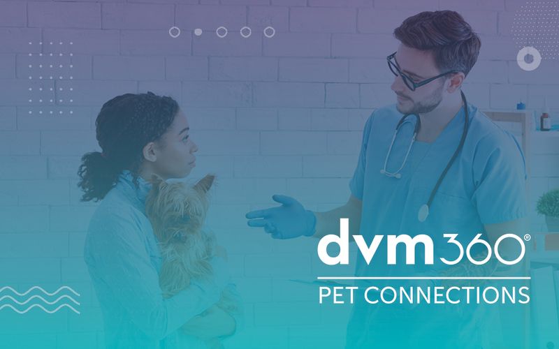 Pet Connections