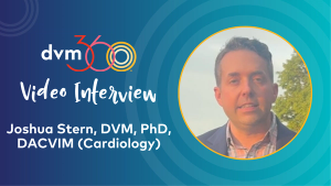 Understanding hypertrophic cardiomyopathy in cats