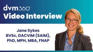 A UC Davis veterinary specialist breaks down key updates from the 2023 ACVIM leptospirosis consensus statement