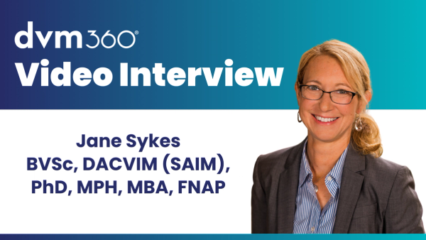 How leptospirosis can spread silently