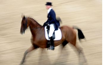 DVM_veterinarynews_Keymaster_flash.s-int-542286-1384675781678.jpg