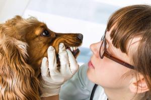 What’s new in the clinical practice of dentistry? The oral microbiome