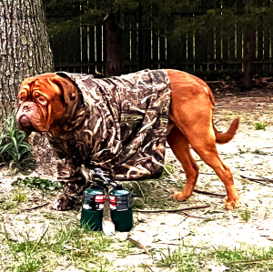 Preparing for an emergency