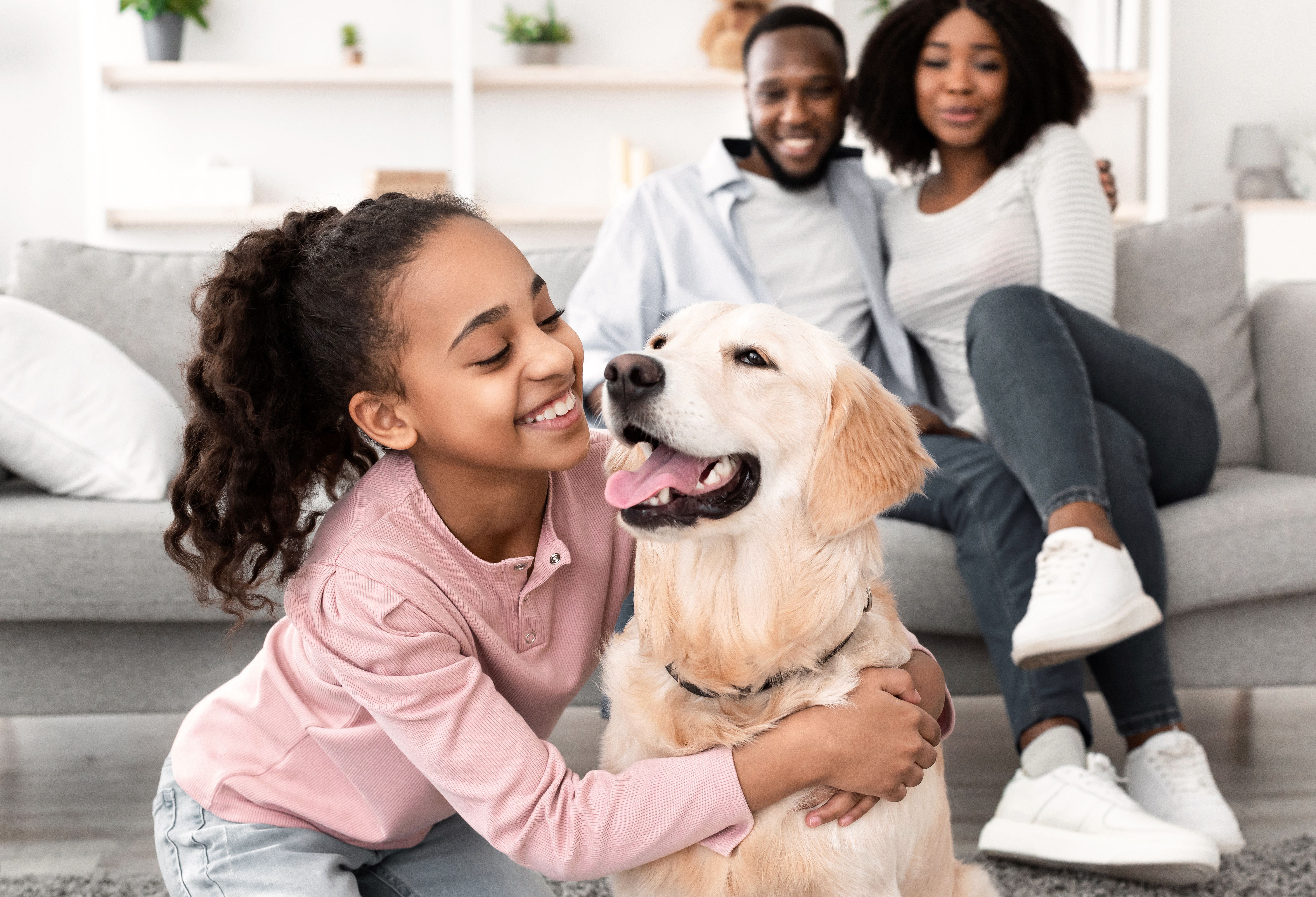 Human-animal bond