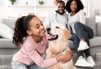Human-animal bond