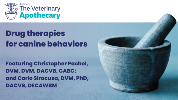 The Veterinary Apothecary: Drug therapies for canine behaviors