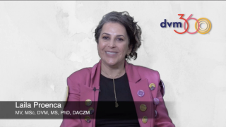 Overcoming the biggest challenge in avian critical care