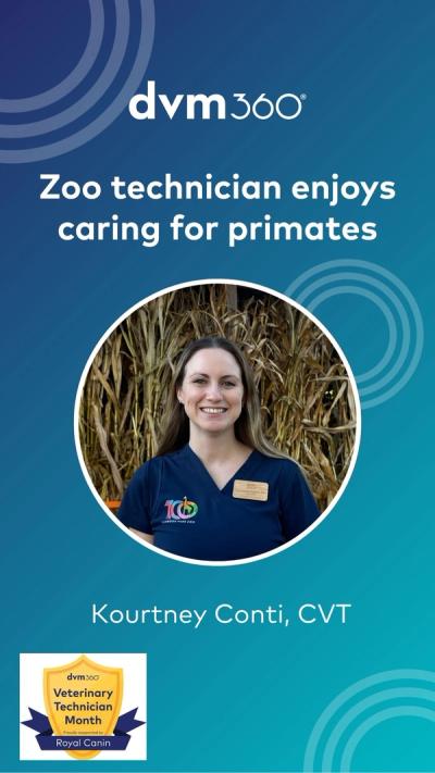 What zoo species do you enjoy working with?