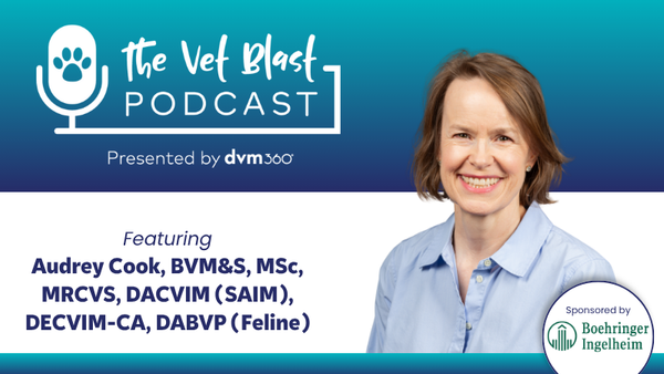 Sweet solutions: A real-world approach to feline diabetes