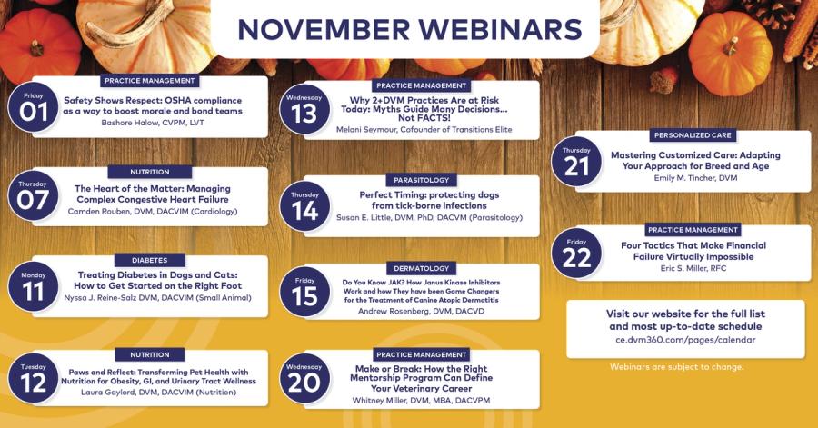 November Webinars