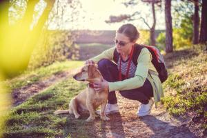 Preventing transmission of Lyme disease