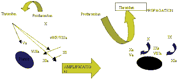 i3-586464-1384519744678.gif