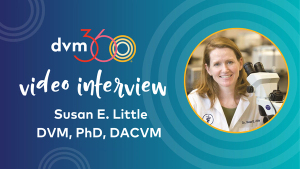 Understanding internal parasite diagnostics