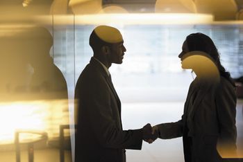 veterinary-Businessman-and-businesswoman-handshaking-in-lobby_460px_177245577.jpg