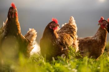 Photo: Dewald/Adobe Stock