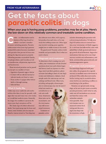 dvm360team-colitis-in-dogs-450.jpg
