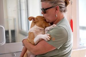 $5K in supplies donated to local Texas shelter after floods