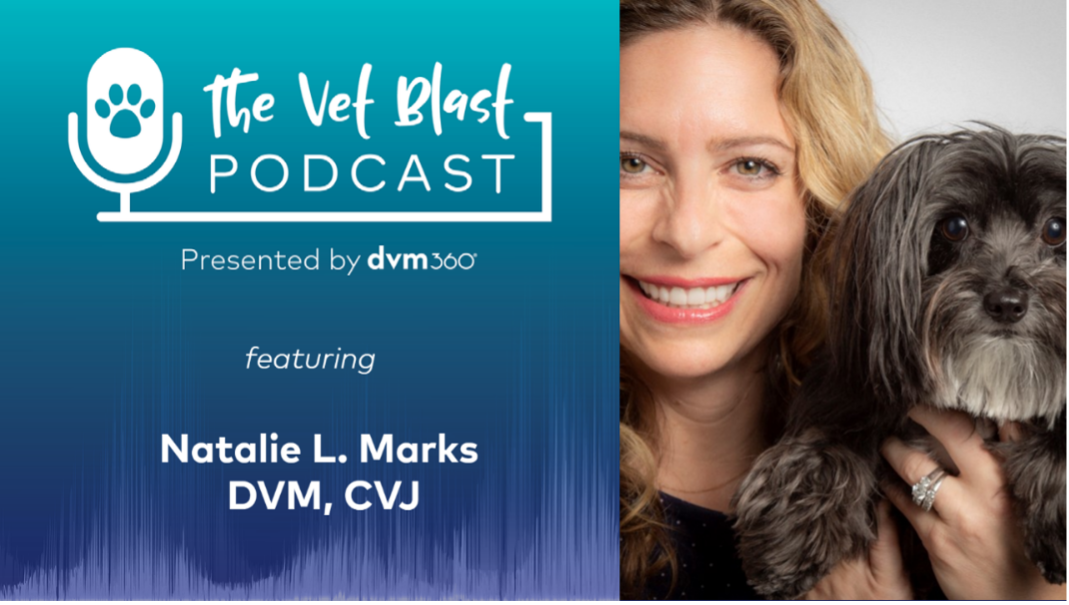 Podcast CE: Canine cardiology: the practical guide to the mitral valve