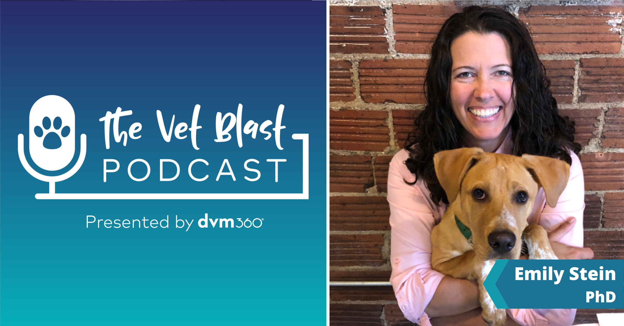 The Vet Blast Podcast
