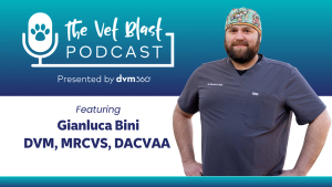 Transforming veterinary anesthesia with teleconsulting