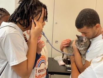 Photo Courtesy of the North American Veterinary Community