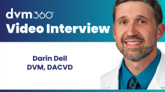 A diagnostic approach to canine otitis externa