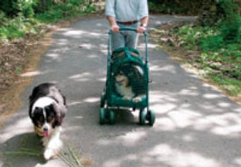 veterinary_Overall_2-682255-1384235504535.jpg