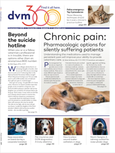 dvm360 September 2019