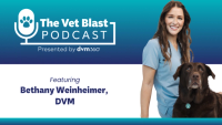 You can do anything, but not everything: How values-driven veterinarians find joy now