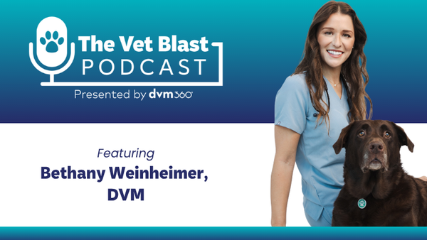 You can do anything, but not everything: How values-driven veterinarians find joy now