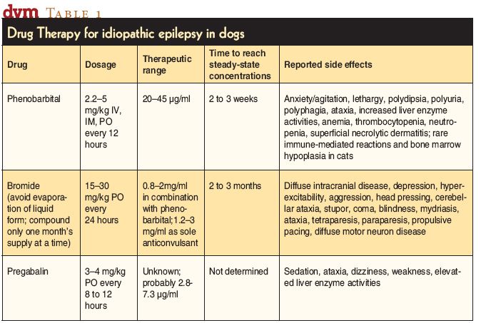 gabapentin and pregabalin dual therapy gabapentin and pregabalin dual therapy