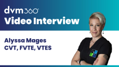 Tips for safer, more effective venipuncture and IV catheter placement