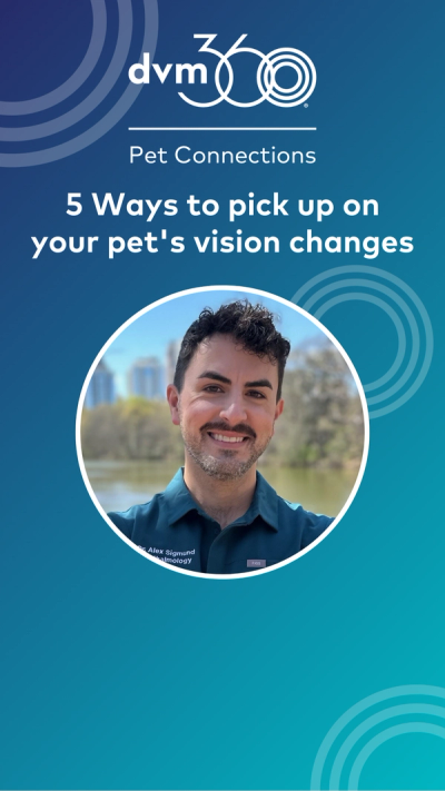 5 Ways to pick up on your pet's vision changes