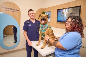 Image courtesy of Chewy