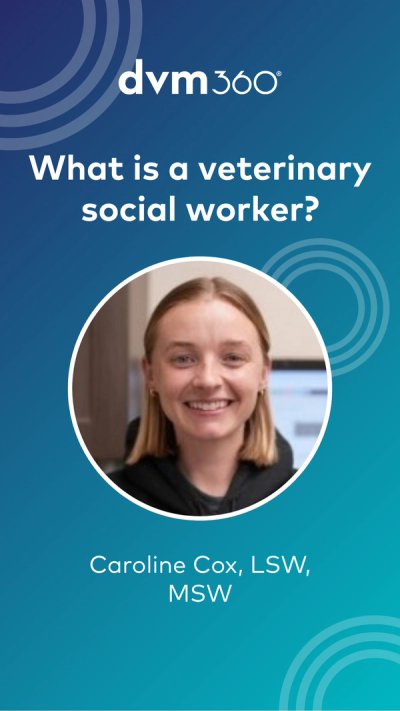 What is a veterinary social worker?