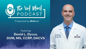 Podcast CE: A Surgeon’s Perspective on Current Trends for the Management of Osteoarthritis, Part 2