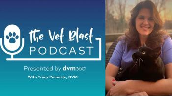 Top Vet Blast Podcast episodes of 2023: #7