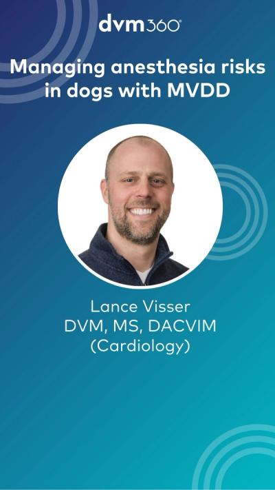 Managing anesthesia risks in dogs with MVDD