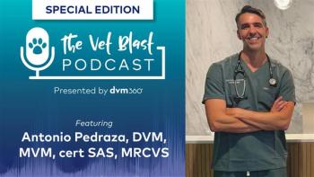 Providing care for animals during the California wildfires