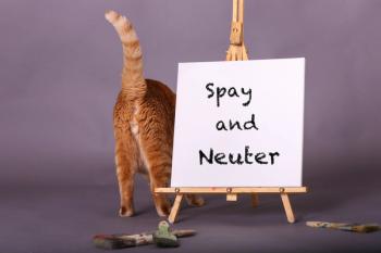 Spay and neuter