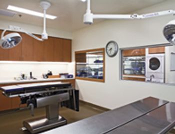 veterinary_surgery1_0409-590716-1384517730941.jpg