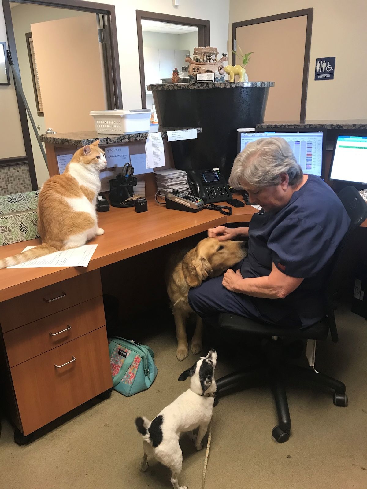 Veterinary hero Gerry Sprague