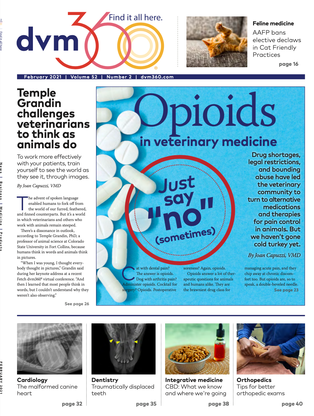 Holistic lymphoma treatment for dogs online