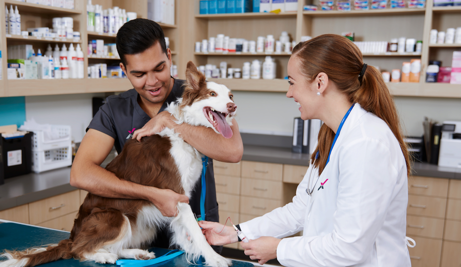 Liquid Biopsy for canine cancer detection