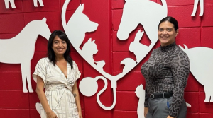 Schwartman Animal Medical Center