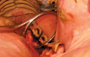 dvm0612_kane-dentistry_Photo2A-775279-1384160503623.jpg