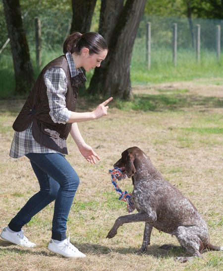 veterinary-dedicated-girl-training-dog-in-kennel-shutterstock-733737775_450.jpg