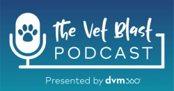 Moving the needle in vet med with telehealth and virtual care